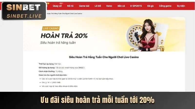 Cam kết của U8888 Link Mới